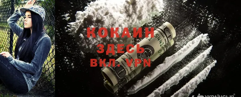 Cocaine Fish Scale  площадка какой сайт  Златоуст 